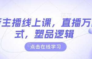 最新主播线上课，直播万能公式，塑品逻辑-麦资源网