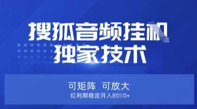 【搜狐音频挂G】*技术，可矩阵可放大，红利期稳定月入8k【揭秘】