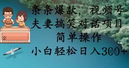 条条*，视频号夫妻搞笑对话项目，简单操作，小白轻松日入3张+