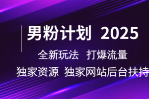 男粉计划2025  全新玩法打爆流量 独立网站 独立资源后台扶持-麦资源网