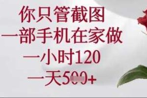 你只管截图，一部手机在家操作，一小时120.一天5张【揭秘】-麦资源网