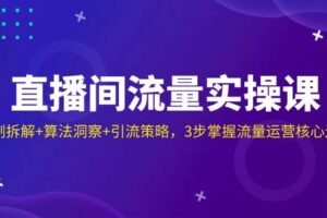 直播间流量实操课：机制拆解+算法洞察+引流策略，3步掌握流量运营核心逻辑-麦资源网