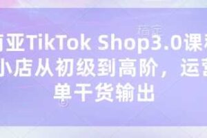 东南亚TikTok Shop3.0课程，TK小店​从初级到高阶，运营出单干货输出-麦资源网