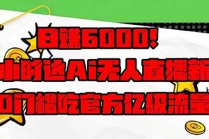 （14211期）日赚6000+！抖音小时达Ai无人直播躺赚新风口，0门槛吃官方亿级流量！-麦资源网