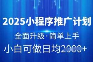 2025小程序推广计划，全面升级，简单上手，日均多张【揭秘】-麦资源网