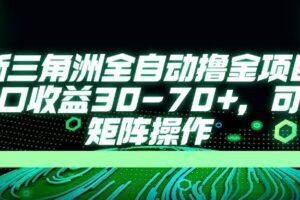 （14191期）最新三角洲全自动撸金项目，单窗口收益30-70+，可批量矩阵操作-麦资源网