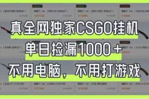 真全网独家CSGO挂机，单日捡漏1000+，不用电脑，不用养号-麦资源网