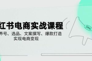 （14549期）小红书电商实战课程，详解养号、选品、文案撰写、爆款打造，实现电商变现-麦资源网