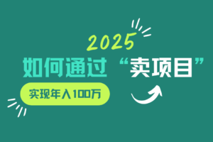 2025年如何通过“卖项目”实现年入100w-麦资源网