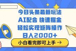 （14463期）今日头条最新玩法，思路简单，复制粘贴，轻松实现矩阵日入2000+-麦资源网