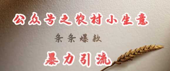 deepseek写农村小项目，条条*，*引流