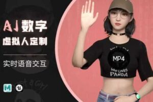 Ai数字人虚拟(智能体)实时语音交互特训营，​自行定制超写实角色AI数字人交互技术-麦资源网