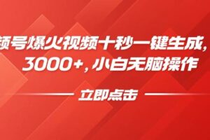（14415期）视频号爆火视频十秒一键生成，日入3000+，小白无脑操作-麦资源网
