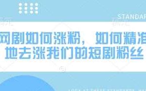 网剧如何涨粉，如何精准地去涨我们的短剧粉丝-麦资源网