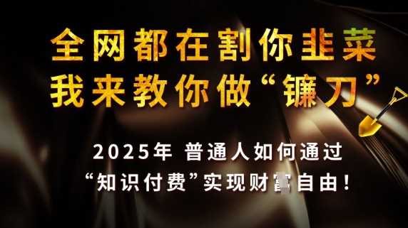 *都在割你韭菜，我来教你做镰刀，2025普通人如何通过知识付费，实现财F自由【揭秘】
