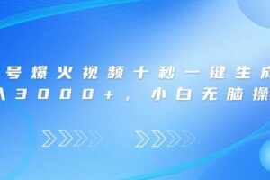 （14181期）视频号爆火视频十秒一键生成，日入3000+，小白无脑操作-麦资源网