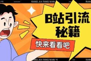 B站最新截流玩法靠此方法可日引流200+-麦资源网