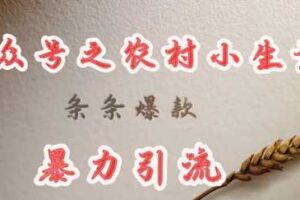 deepseek写农村小项目，条条爆款，暴力引流-麦资源网