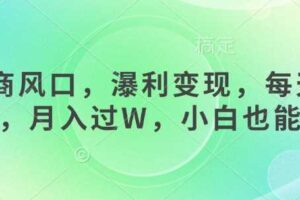 女杏商风口，瀑利变现，每天1小时，月入过W，小白也能做-麦资源网