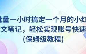 AI+批量一小时搞定一个月的小红书爆款图文笔记，轻松实现账号快速涨粉(保姆级教程)-麦资源网