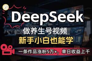 (14199期)小白用DeepSeek做养生号,一条作品涨粉5万+,单日收益上千-麦资源网