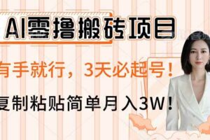 （14134期）AI零撸搬砖项目玩法，有手就行，3天必起号，复制粘贴简单月入3W！-麦资源网
