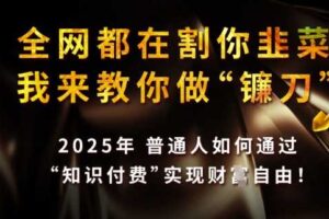 全网都在割你韭菜，我来教你做镰刀，2025普通人如何通过知识付费，实现财F自由【揭秘】-麦资源网