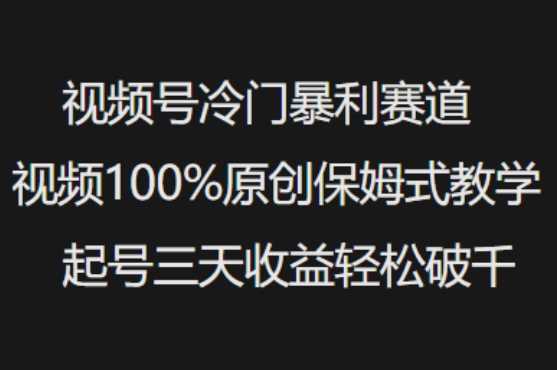 视频号冷门暴利赛道视频*原创保姆式教学起号三天收益轻松破千