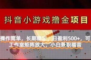 （14290期）【抖音小游戏发行人计划项目】操作简单，长期稳定，日盈利500+，可工作…-麦资源网