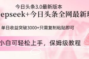 （14452期）Deepseek结合今日头条全网最新玩法，单日收益突破3000+，只需要简单的…-麦资源网