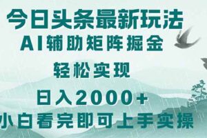（14255期）今日头条2025最新玩法，思路简单，复制粘贴，轻松实现矩阵日入2000+-麦资源网