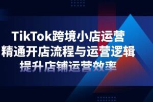 （14369期）TikTok跨境小店运营，精通开店流程与运营逻辑，提升店铺运营效率-麦资源网