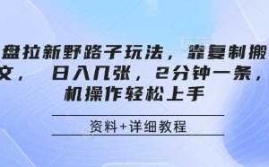 网盘拉新野路子玩法，靠复制搬运图文， 日入几张，2分钟一条，手机操作轻松上手-麦资源网