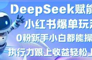 DeepSeek赋能小红书爆单玩法0粉新手小白都能操作，执行力跟上收益轻松上W，懒人勿做-麦资源网