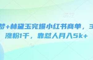 即梦+林黛玉完爆小红书商单，3天涨粉1千，靠怼人月入5k+-麦资源网