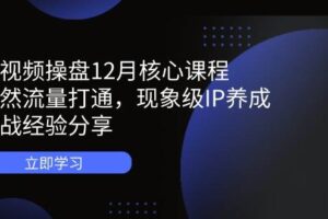 短视频操盘12月核心课程：自然流量打通，现象级IP养成，实战经验分享-麦资源网