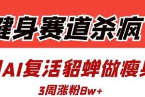 健身赛道杀疯了？我用AI复活貂蝉做瘦身操，3周涨粉8W-麦资源网