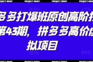 拼多多打爆班原创高阶技术第43期，拼多多高价虚拟项目-麦资源网