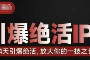 引爆绝活IP训练营，14天引爆绝活，放大你的一技之长-麦资源网