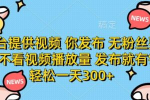 （14317期）平台提供视频 你发布 无粉丝要求 不看视频播放量 发布就有钱 轻松一天300+-麦资源网