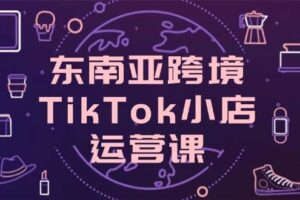 （14390期）东南亚跨境TikTok小店运营课，掌握店铺设置与流量转化核心技巧-麦资源网