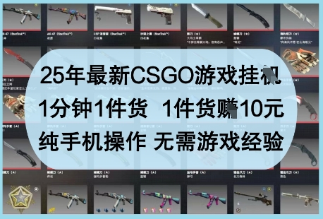 25年*CSGO游戏挂G，1分钟1件货，1件货挣10元，纯手机操作，无需游戏经验【揭秘】