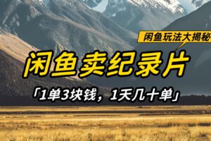 闲鱼卖纪录片,简单又赚钱的小项目,1单3块钱 1天几十单-麦资源网