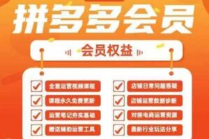 2025拼多多运营实战课，40节全流程教学，覆盖拼多多运营全链路-麦资源网