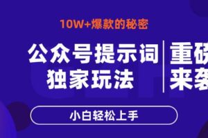 （14364期）公众号提示词玩法，10W+爆文最简单快速的方法，小白轻松上手-麦资源网
