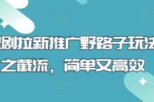 短剧拉新推广野路子玩法之截流，简单又高效-麦资源网