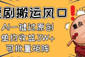 （14282期）2025短剧搬运风口！复制粘贴AI一键过原创，单月收益3W+，新手可矩阵放…-麦资源网