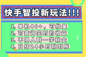 （14372期）快手智投新玩法，单机日入40+，可批量，可查询实时收益，收益日结24小…-麦资源网
