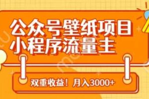 公众号壁纸项目，小程序流量主双收益，月入3000+-麦资源网