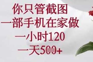 你只管截图,一部手机在家做,苹果安卓都可以,一小时120,一天5张+【揭秘】-麦资源网